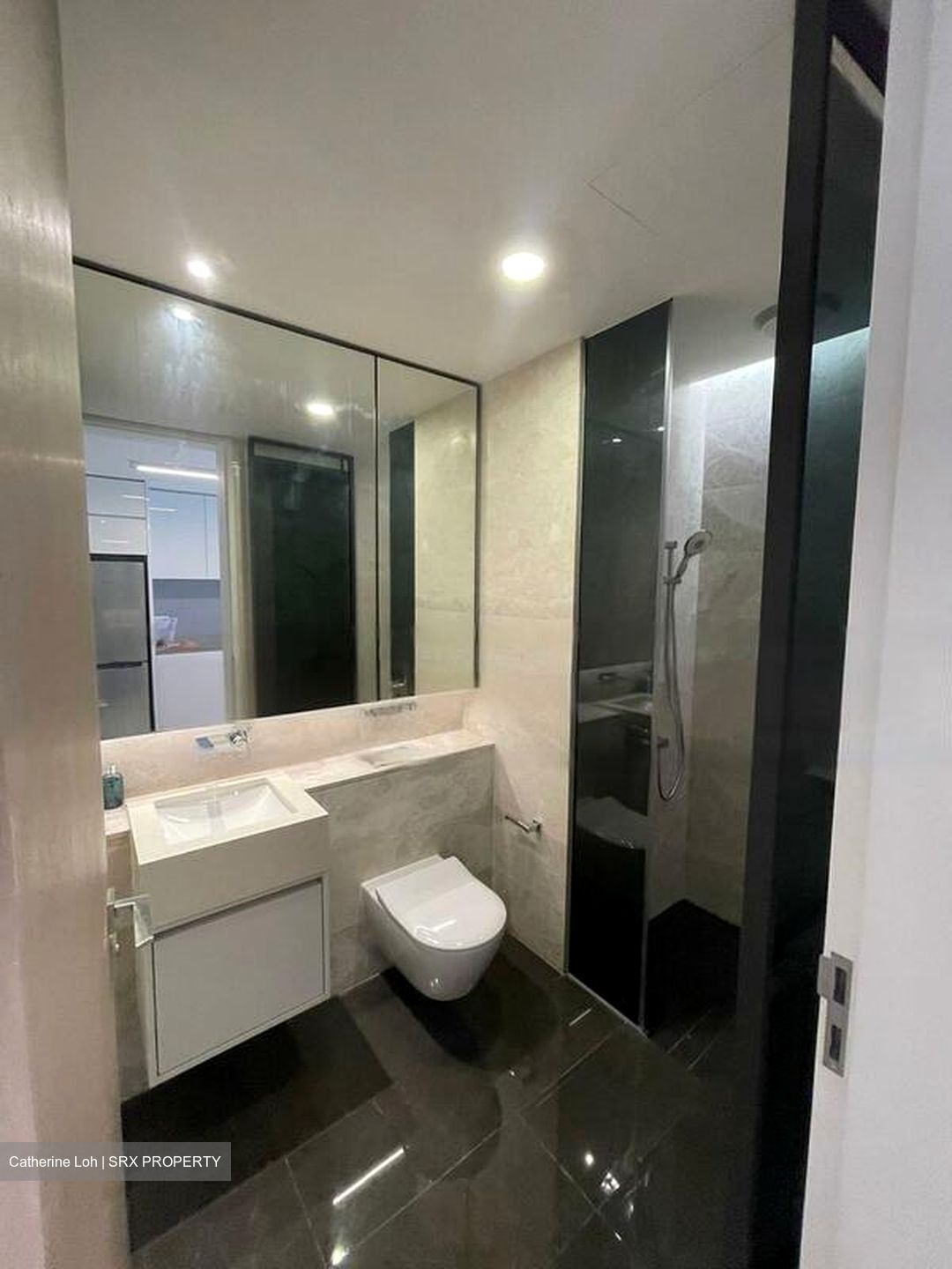 Amber Park (D15), Condominium #453350961